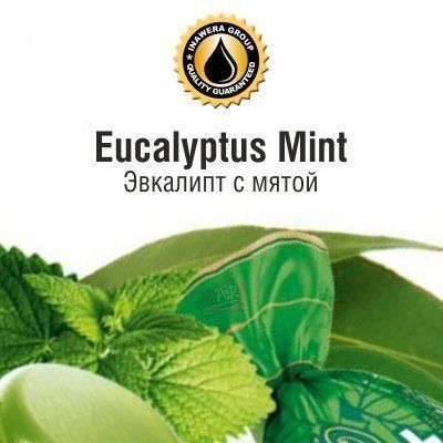 INW Eucaliptus + Mint