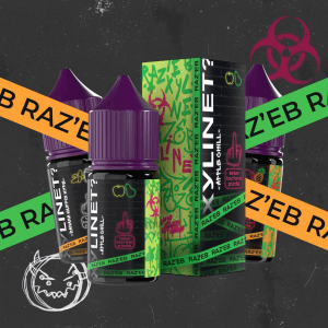 XYLINET RAZ'EB Salt Strong - GOGONUT FLEX 30 мл