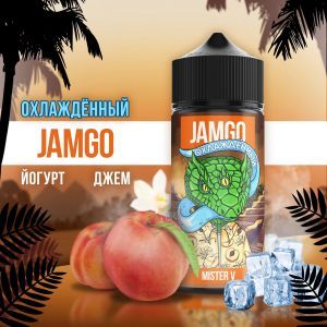 JAMGO - Mister V