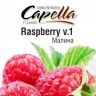 CAP Raspberry v.1