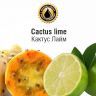 INW Cactus Lime
