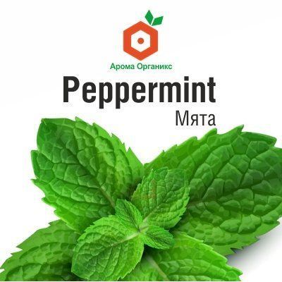В Каком Магазине Купить Мяту