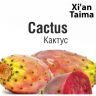 XT Cactus