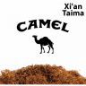 XT Camel