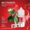 FROST Salt - Wild Strawberry 30 мл