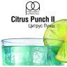 TPA Citrus Punch II