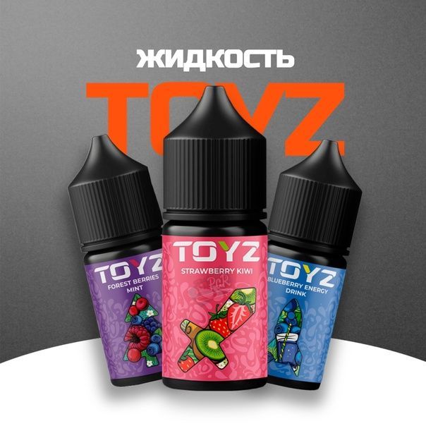 TOYZ SALT - Forest berries with mint 30 мл