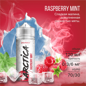 Arctica - Raspberry Mint 120 мл