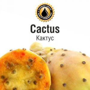 INW Cactus