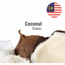 FNT Coconut