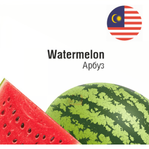 FNT Watermelon