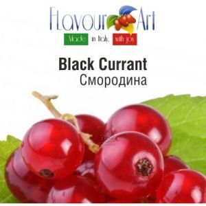 FA Blackcurrant