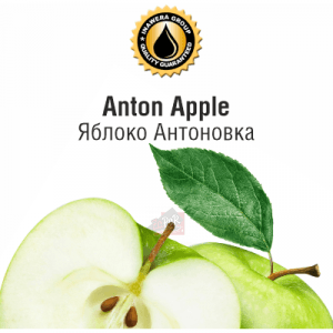 INW Anton Apple