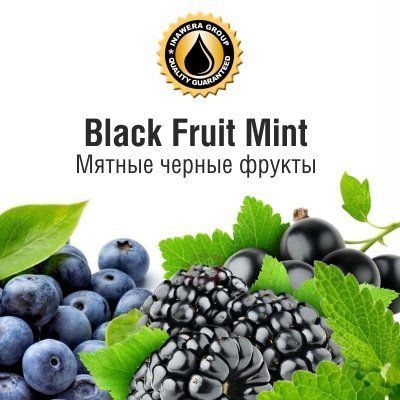 INW Black Fruit Mint